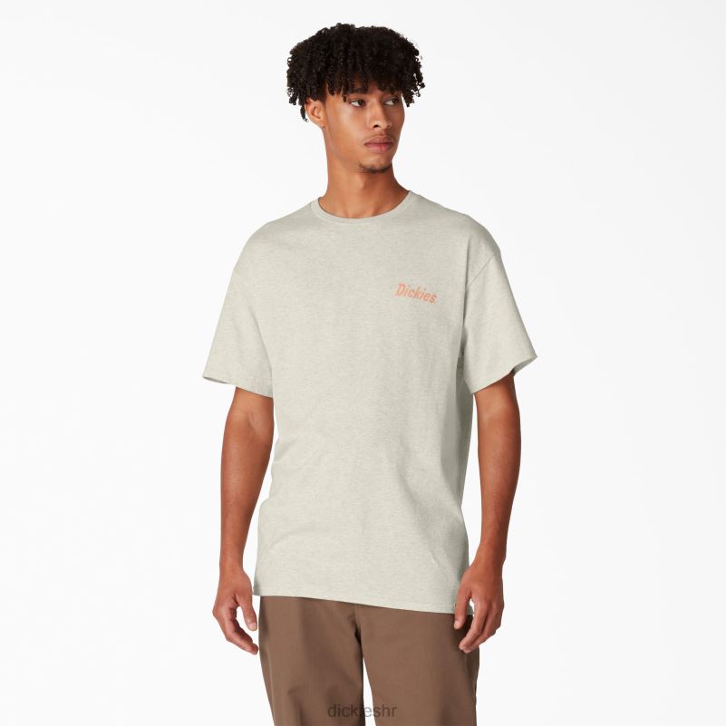 skateboarding split grafička majica muškarci Dickies zobena kaša vrijesak (oa) 6BPL6852 odjeća