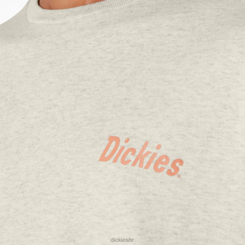 skateboarding split grafička majica muškarci Dickies zobena kaša vrijesak (oa) 6BPL6852 odjeća