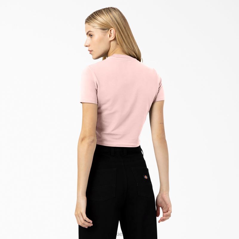 skraćena majica s logotipom maple valley žene Dickies ružičasta (pk) 6BPL62099 odjeća