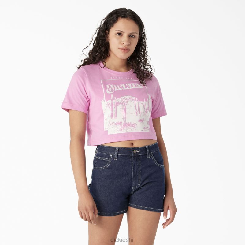 skraćena majica s pustinjskom grafikom žene Dickies divlja ruža (wr2) 6BPL62134 odjeća