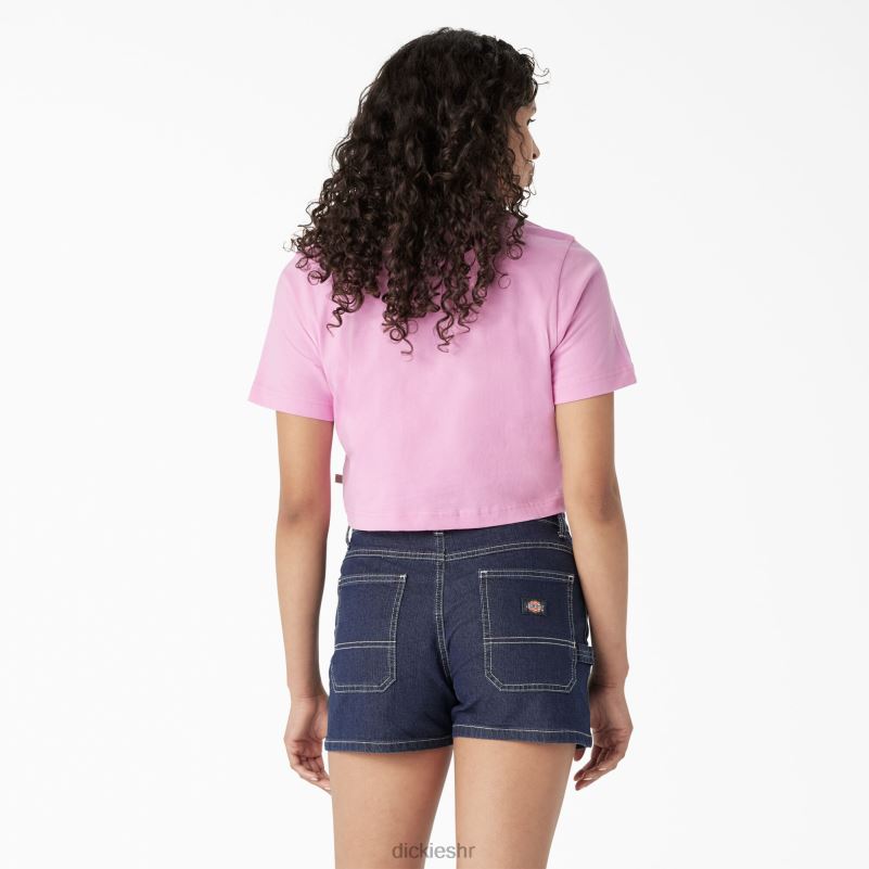 skraćena majica s pustinjskom grafikom žene Dickies divlja ruža (wr2) 6BPL62134 odjeća