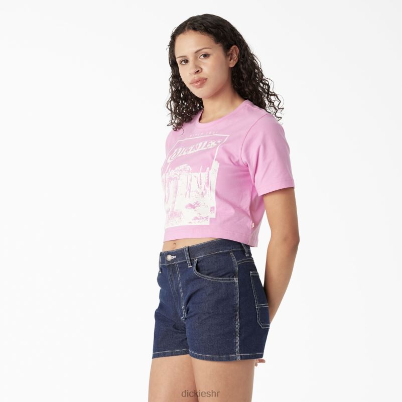 skraćena majica s pustinjskom grafikom žene Dickies divlja ruža (wr2) 6BPL62134 odjeća