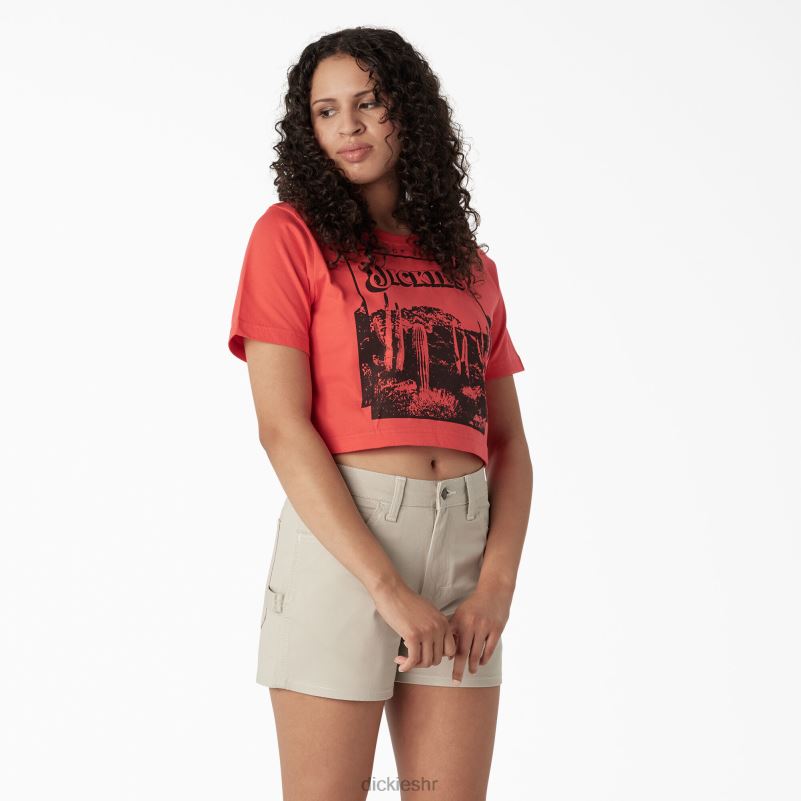 skraćena majica s pustinjskom grafikom žene Dickies gorko slatko (bw2) 6BPL62131 odjeća