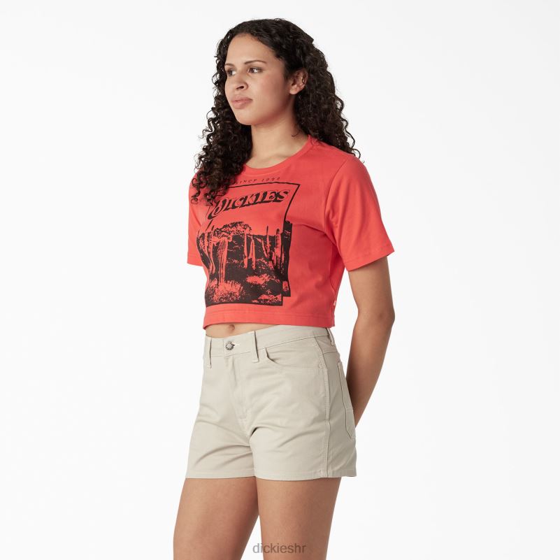 skraćena majica s pustinjskom grafikom žene Dickies gorko slatko (bw2) 6BPL62131 odjeća