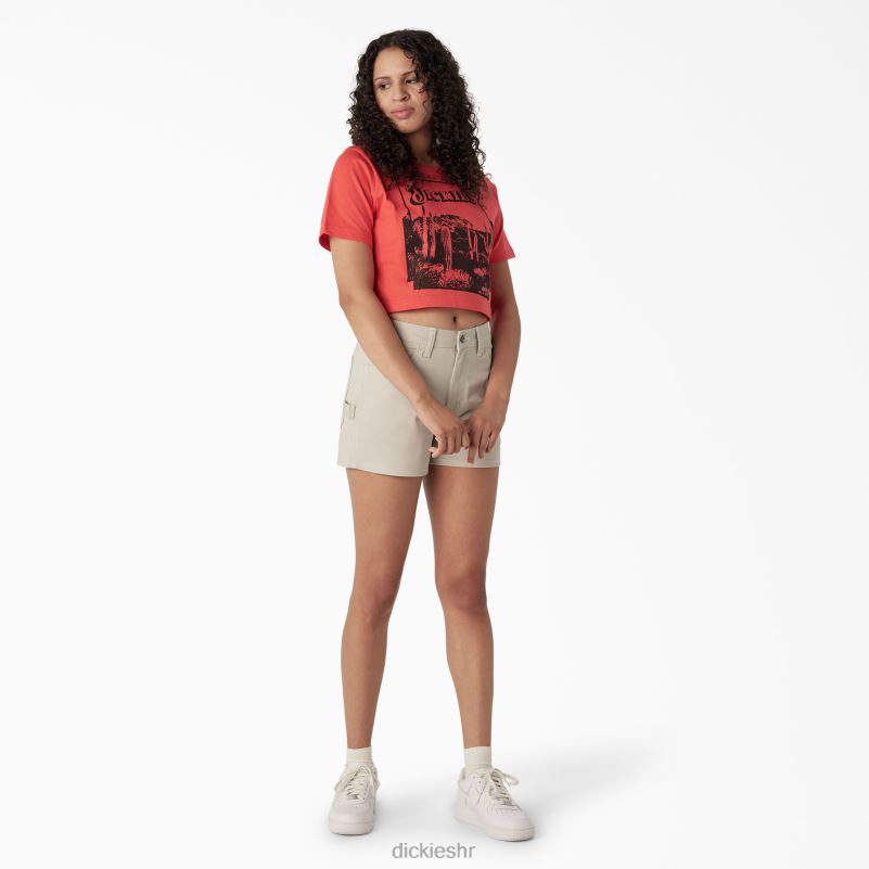 skraćena majica s pustinjskom grafikom žene Dickies gorko slatko (bw2) 6BPL62131 odjeća