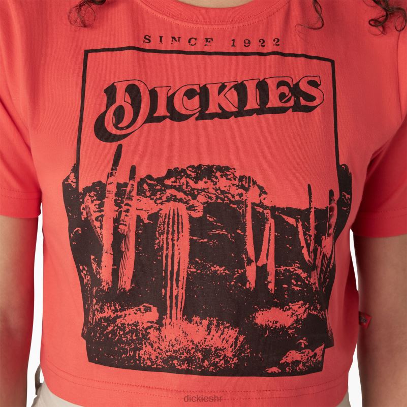skraćena majica s pustinjskom grafikom žene Dickies gorko slatko (bw2) 6BPL62131 odjeća
