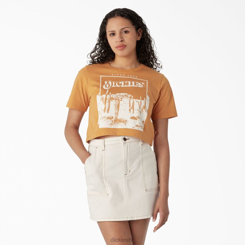 skraćena majica s pustinjskom grafikom žene Dickies grumen (ng2) 6BPL62132 odjeća