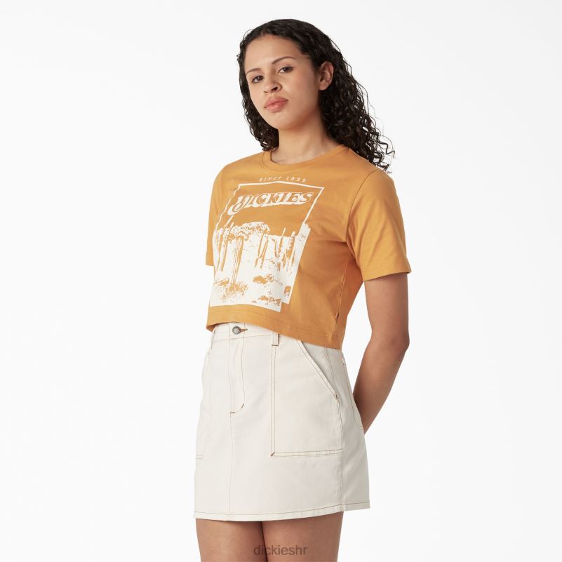 skraćena majica s pustinjskom grafikom žene Dickies grumen (ng2) 6BPL62132 odjeća