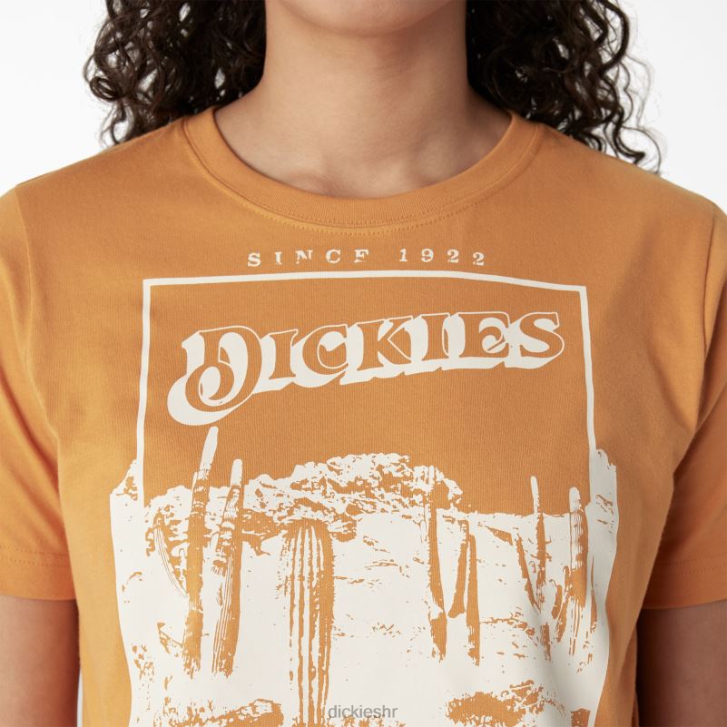 skraćena majica s pustinjskom grafikom žene Dickies grumen (ng2) 6BPL62132 odjeća