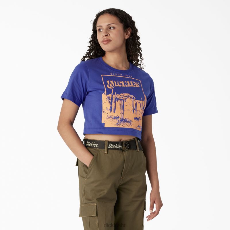 skraćena majica s pustinjskom grafikom žene Dickies satensko nebo (sk2) 6BPL62133 odjeća