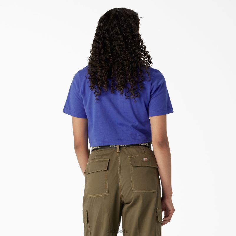 skraćena majica s pustinjskom grafikom žene Dickies satensko nebo (sk2) 6BPL62133 odjeća