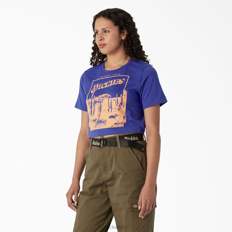 skraćena majica s pustinjskom grafikom žene Dickies satensko nebo (sk2) 6BPL62133 odjeća
