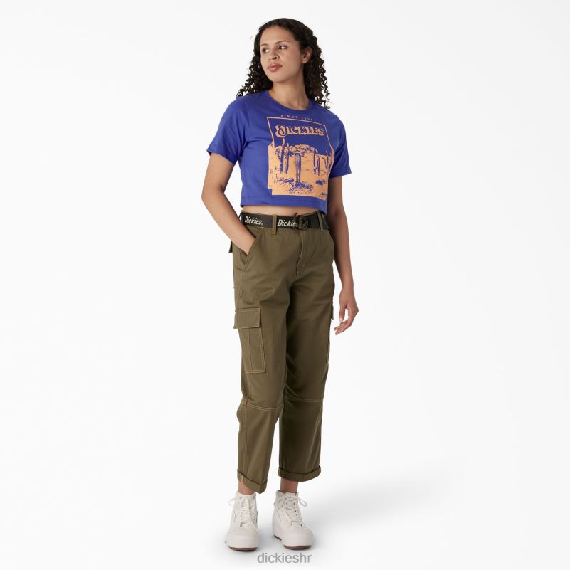 skraćena majica s pustinjskom grafikom žene Dickies satensko nebo (sk2) 6BPL62133 odjeća