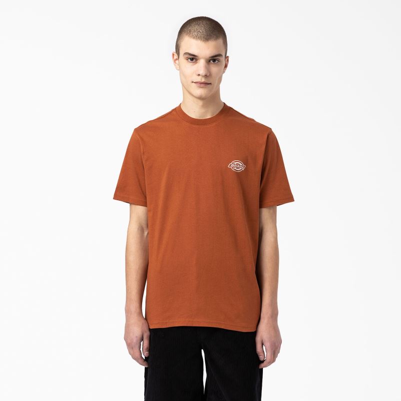 stražnja majica s logotipom muškarci Dickies medenjak smeđi (tj.) 6BPL6748 odjeća