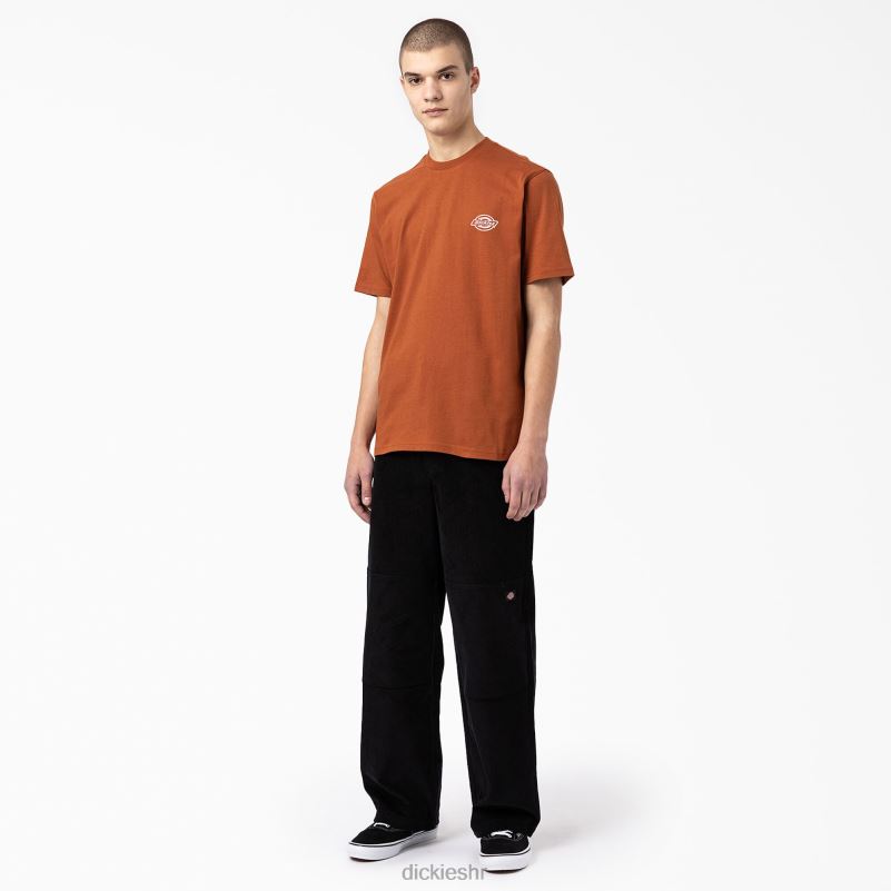 stražnja majica s logotipom muškarci Dickies medenjak smeđi (tj.) 6BPL6748 odjeća