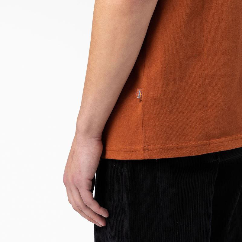 stražnja majica s logotipom muškarci Dickies medenjak smeđi (tj.) 6BPL6748 odjeća