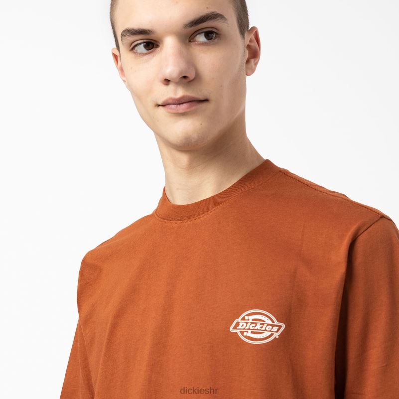 stražnja majica s logotipom muškarci Dickies medenjak smeđi (tj.) 6BPL6748 odjeća