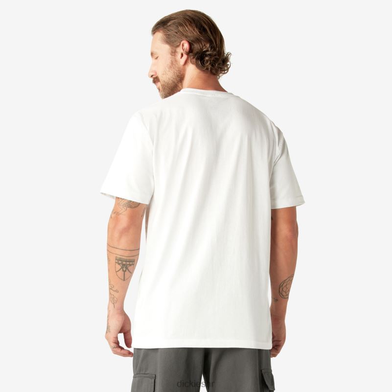 teškaška majica kratkih rukava muškarci Dickies bijelo (wh) 6BPL6523 odjeća