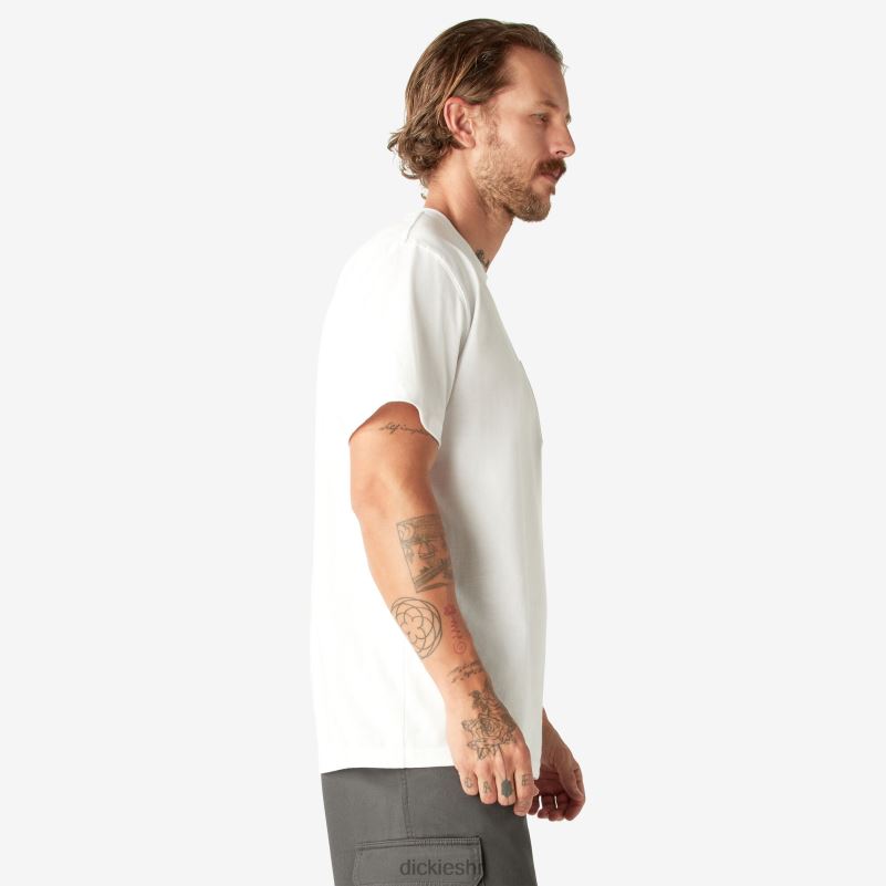 teškaška majica kratkih rukava muškarci Dickies bijelo (wh) 6BPL6523 odjeća