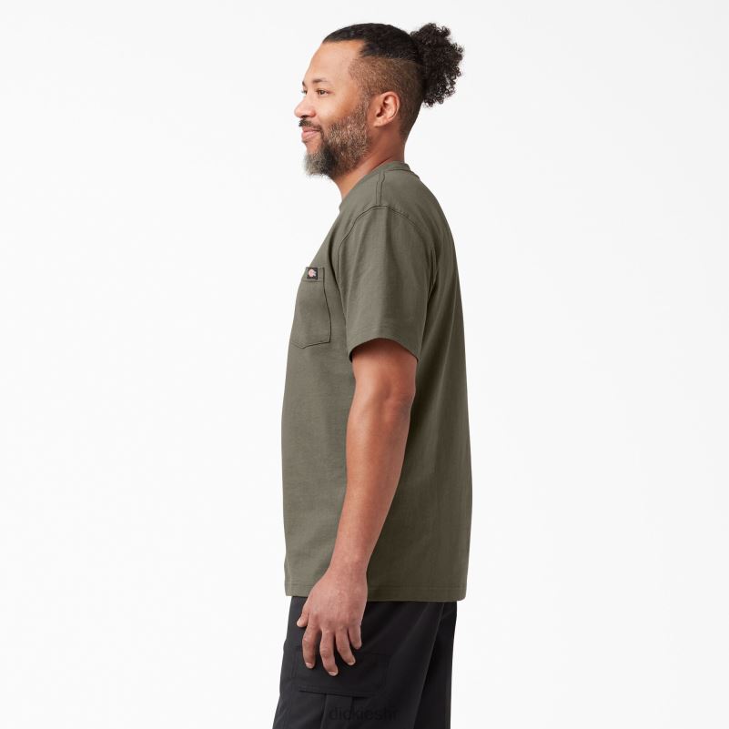 teškaška majica kratkih rukava muškarci Dickies gljiva (mr1) 6BPL6520 odjeća