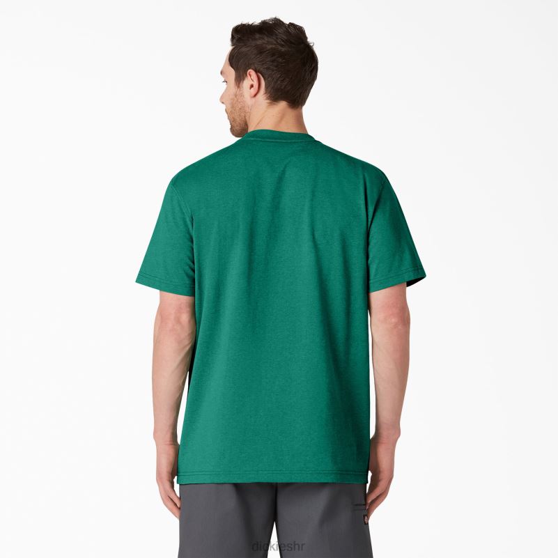 teška majica kratkih rukava s vrijeskom muškarci Dickies zeleni jednobojni vrijesak (gsh) 6BPL6532 odjeća