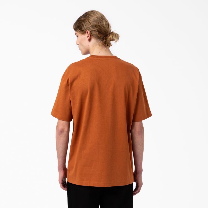 union springs majica kratkih rukava muškarci Dickies medenjak smeđi (tj.) 6BPL6798 odjeća
