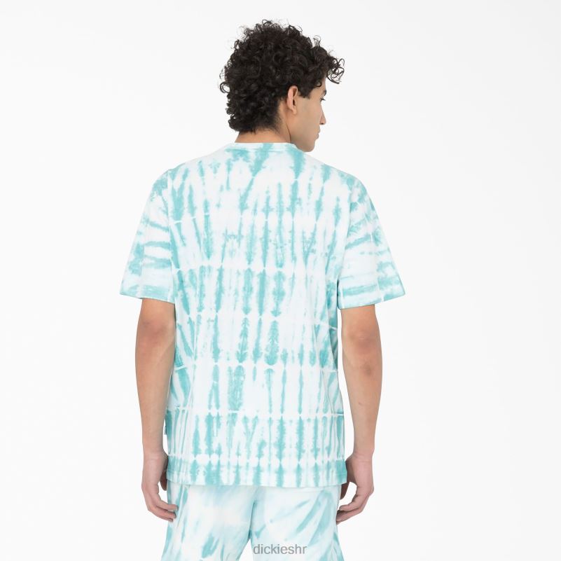 westfir majica kratkih rukava muškarci Dickies nebesko plava (su9) 6BPL6590 odjeća