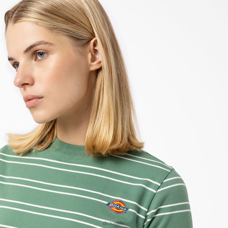 westover majica na pruge žene Dickies tamni bršljan (d2i) 6BPL62089 odjeća