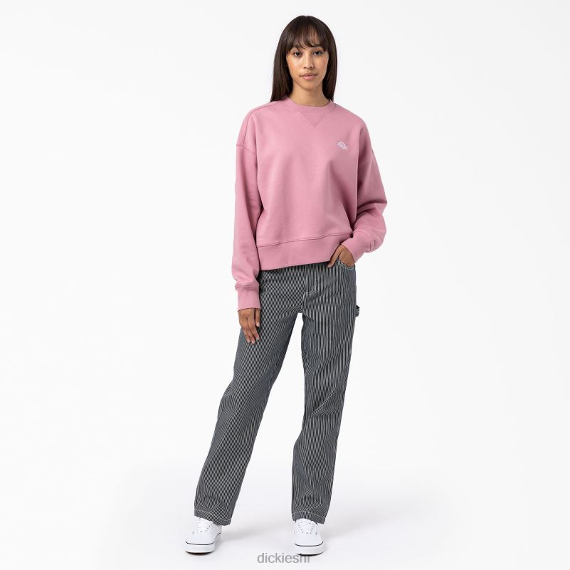 Summerdale majica žene Dickies lisičarka (f2g) 6BPL62292 odjeća