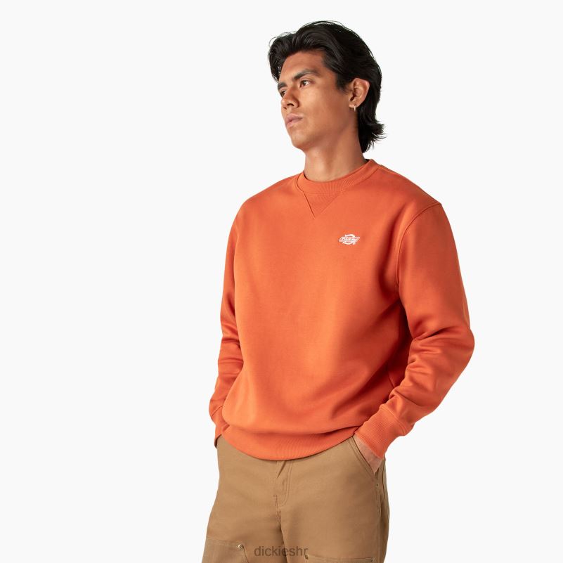 Summerdale majica muškarci Dickies bombay smeđa (b2b) 6BPL6973 odjeća