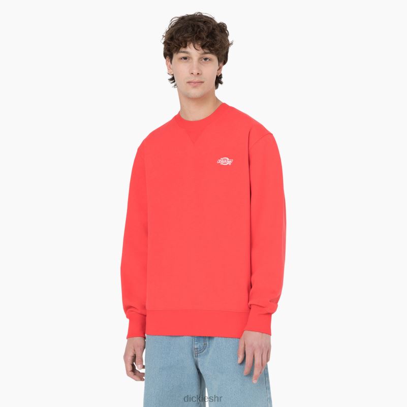 Summerdale majica muškarci Dickies grimizni ibis (s2s) 6BPL6976 odjeća