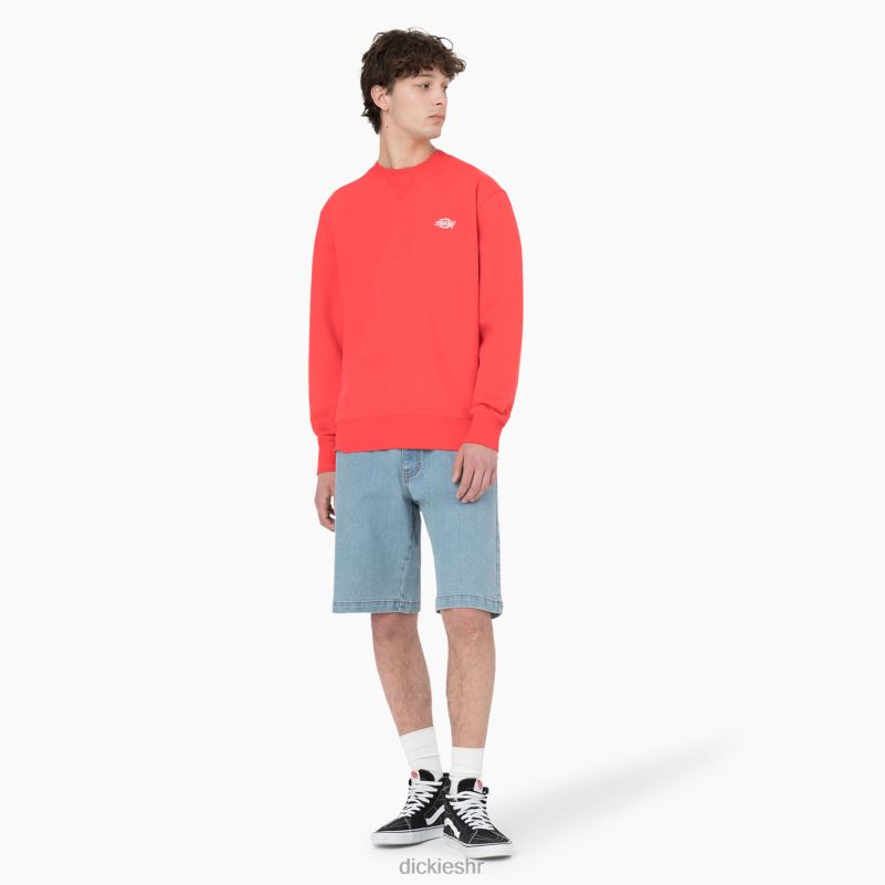Summerdale majica muškarci Dickies grimizni ibis (s2s) 6BPL6976 odjeća