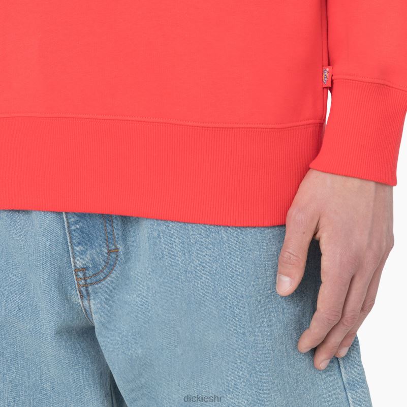 Summerdale majica muškarci Dickies grimizni ibis (s2s) 6BPL6976 odjeća