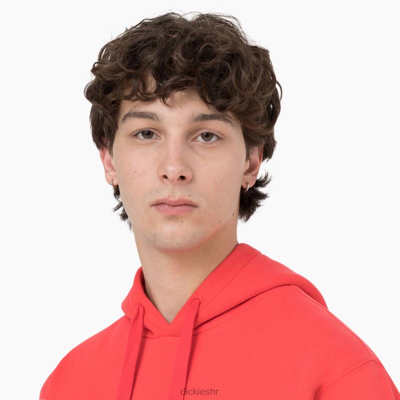 Summerdale majica s kapuljačom muškarci Dickies grimizni ibis (s2s) 6BPL61184 odjeća