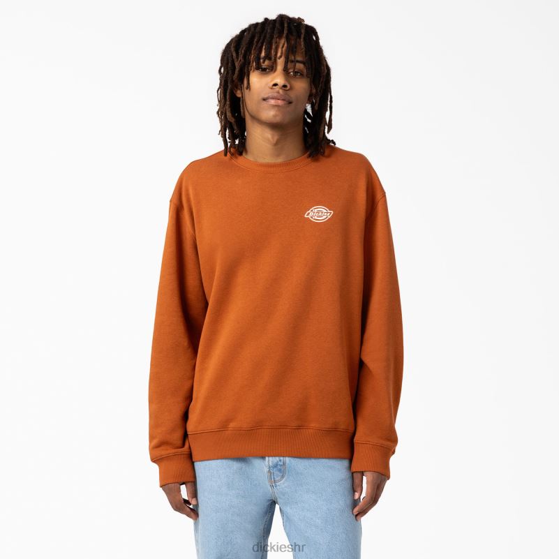 holtville trenirka muškarci Dickies redovito 6BPL61095 odjeća