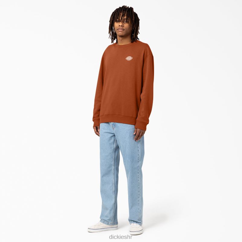 holtville trenirka muškarci Dickies redovito 6BPL61095 odjeća