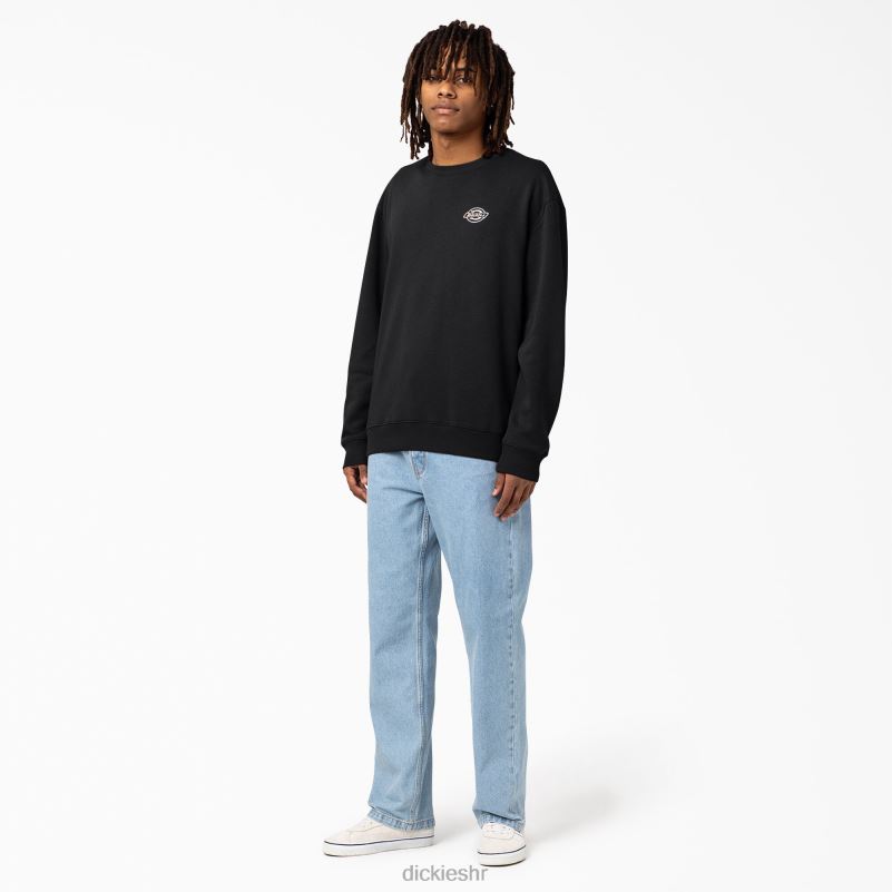 holtville trenirka muškarci Dickies redovito 6BPL61096 odjeća