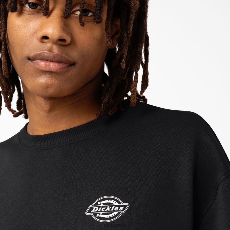 holtville trenirka muškarci Dickies redovito 6BPL61096 odjeća