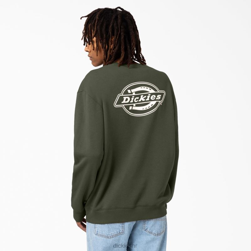 holtville trenirka muškarci Dickies redovito 6BPL61097 odjeća