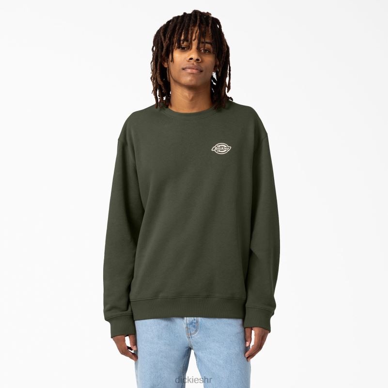 holtville trenirka muškarci Dickies redovito 6BPL61097 odjeća