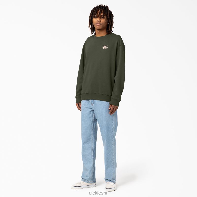 holtville trenirka muškarci Dickies redovito 6BPL61097 odjeća