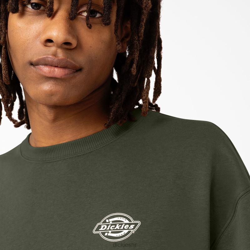 holtville trenirka muškarci Dickies redovito 6BPL61097 odjeća