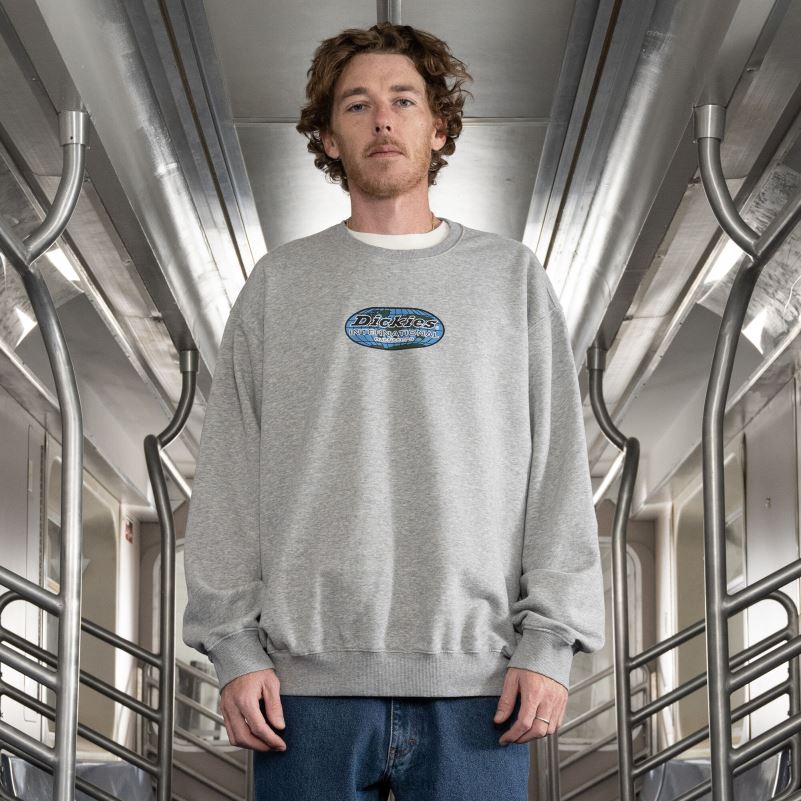 jake hayes grafički sweatshirt muškarci Dickies redovito 6BPL61024 odjeća