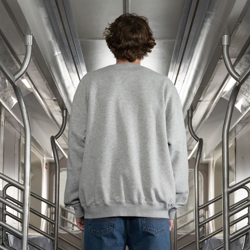 jake hayes grafički sweatshirt muškarci Dickies redovito 6BPL61024 odjeća