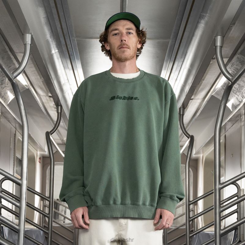 jake hayes izvezena majica muškarci Dickies redovito 6BPL6997 odjeća