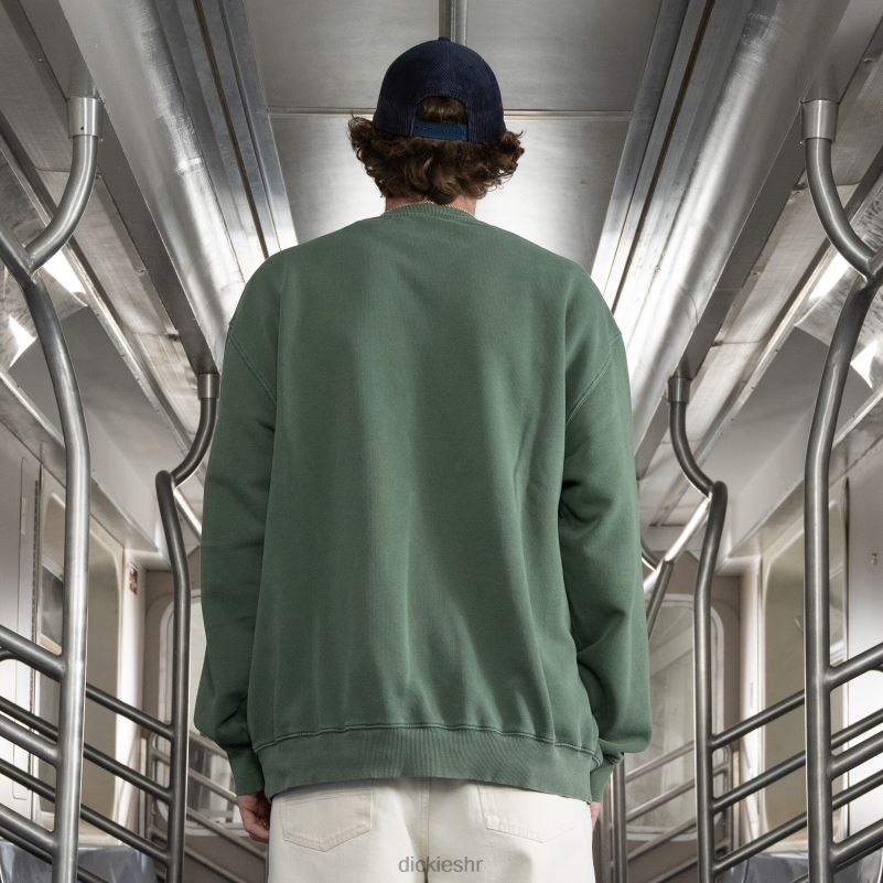 jake hayes izvezena majica muškarci Dickies redovito 6BPL6997 odjeća
