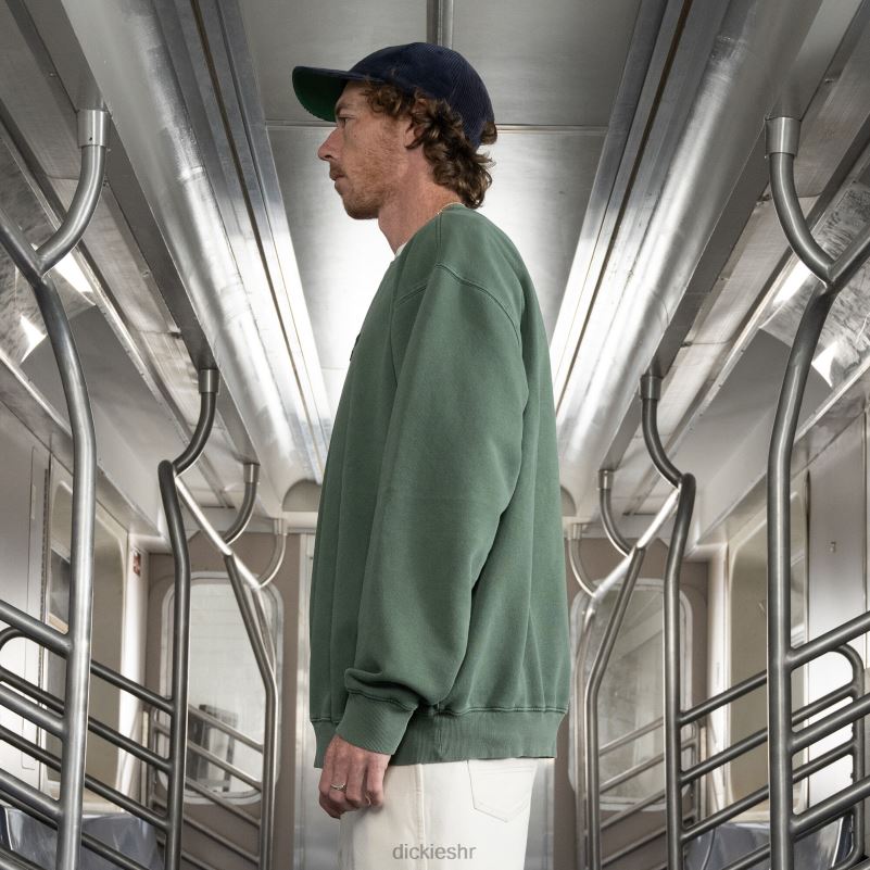 jake hayes izvezena majica muškarci Dickies redovito 6BPL6997 odjeća