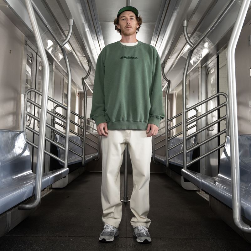 jake hayes izvezena majica muškarci Dickies redovito 6BPL6997 odjeća