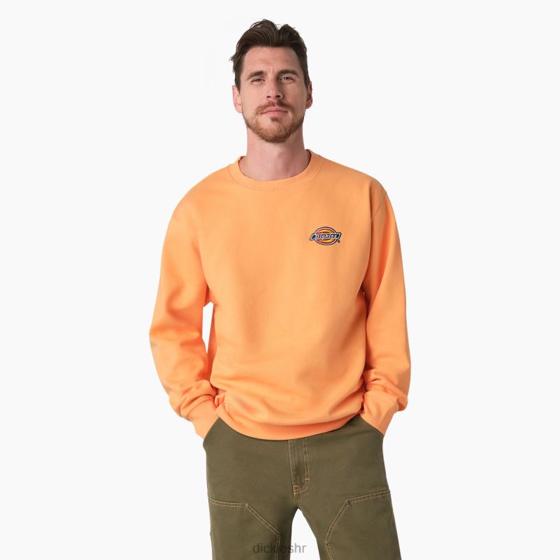 majica s izvezenim logotipom na prsima od flisa muškarci Dickies redovito 6BPL61133 odjeća