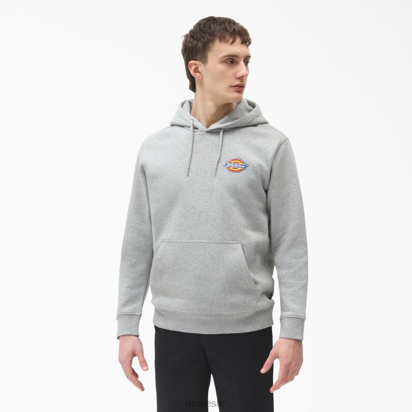 majica s kapuljačom s izvezenim logotipom na prsima muškarci Dickies redovito 6BPL61208 odjeća